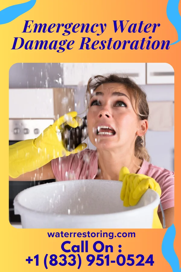 Emergency Water Damage Restoration in Crisfield, MD