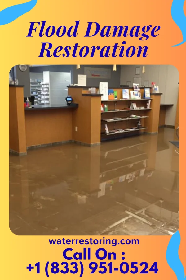 Flood Damage Restoration in Crisfield, MD