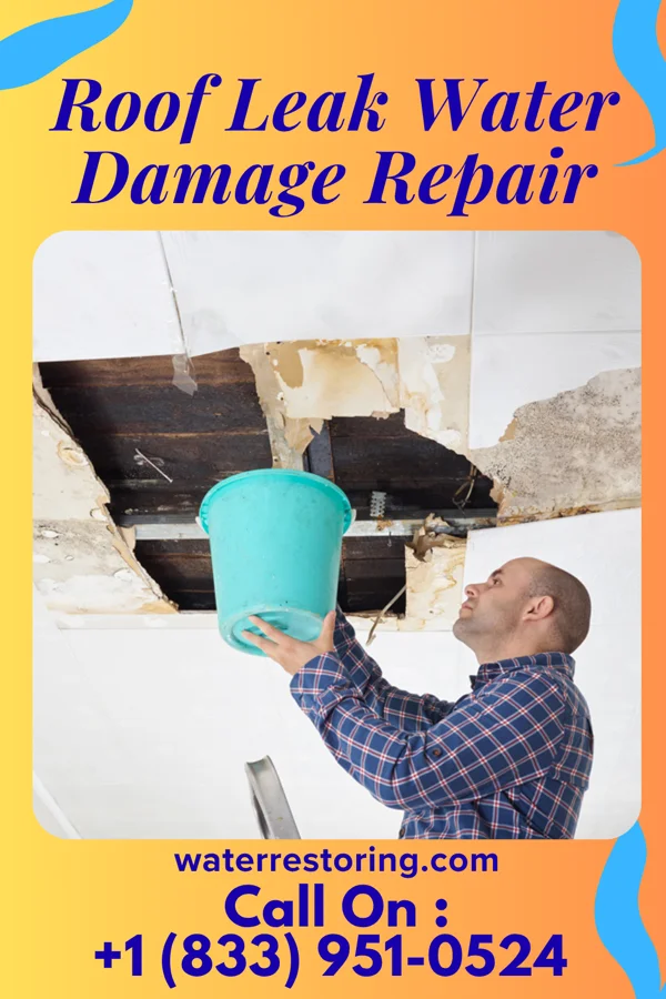 Roof Leak Water Damage Repair in Crisfield, MD