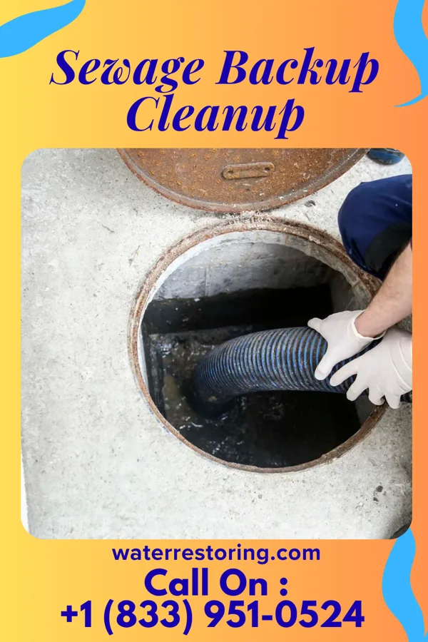 Sewage Backup Cleanup in Crisfield, MD