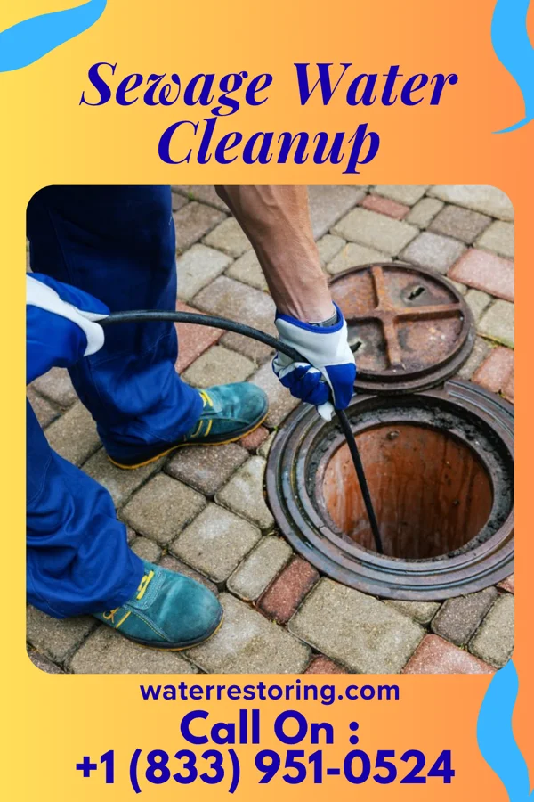 Sewage Water Cleanup in Crisfield, MD